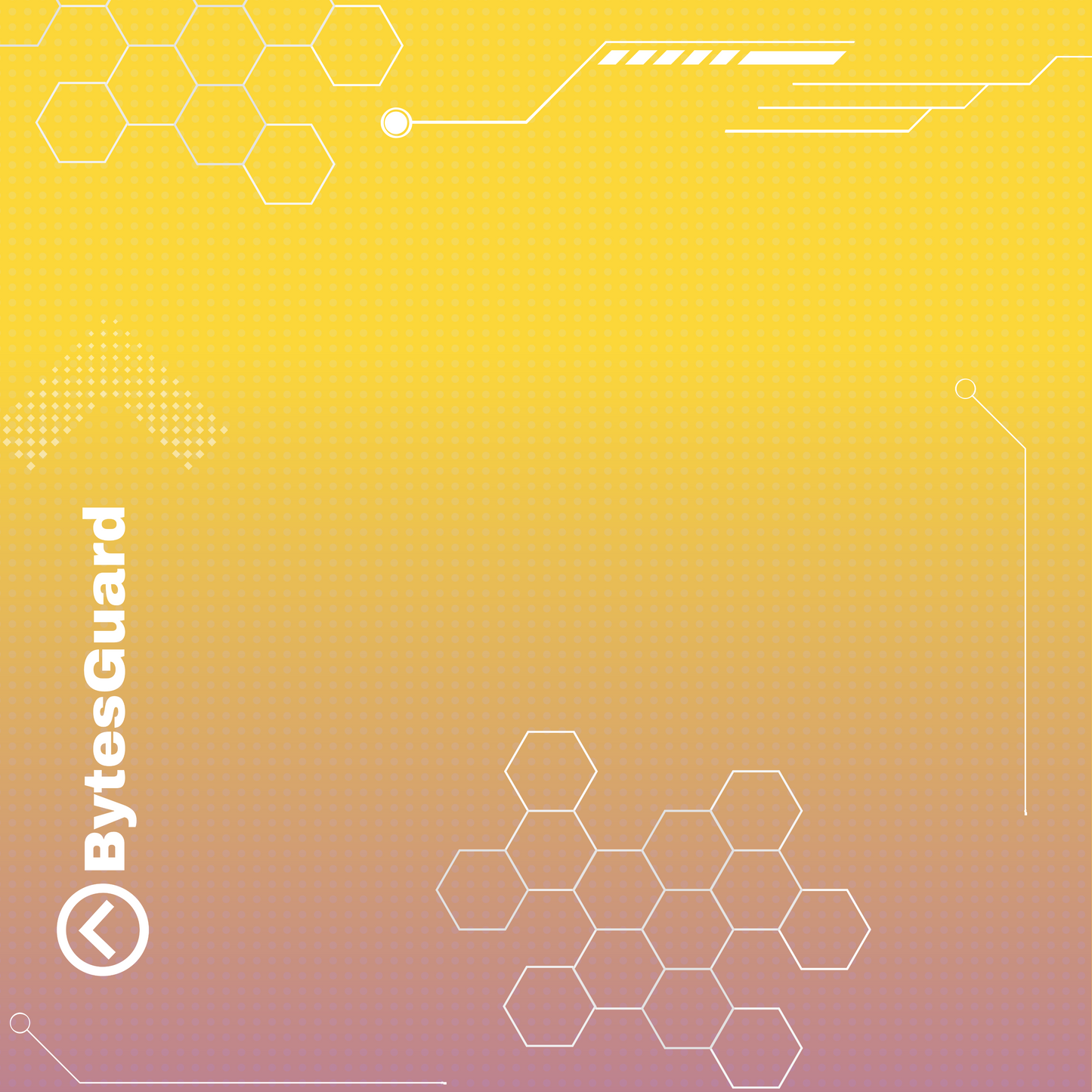 BytesGuard Yearly Subscription - 1 PC