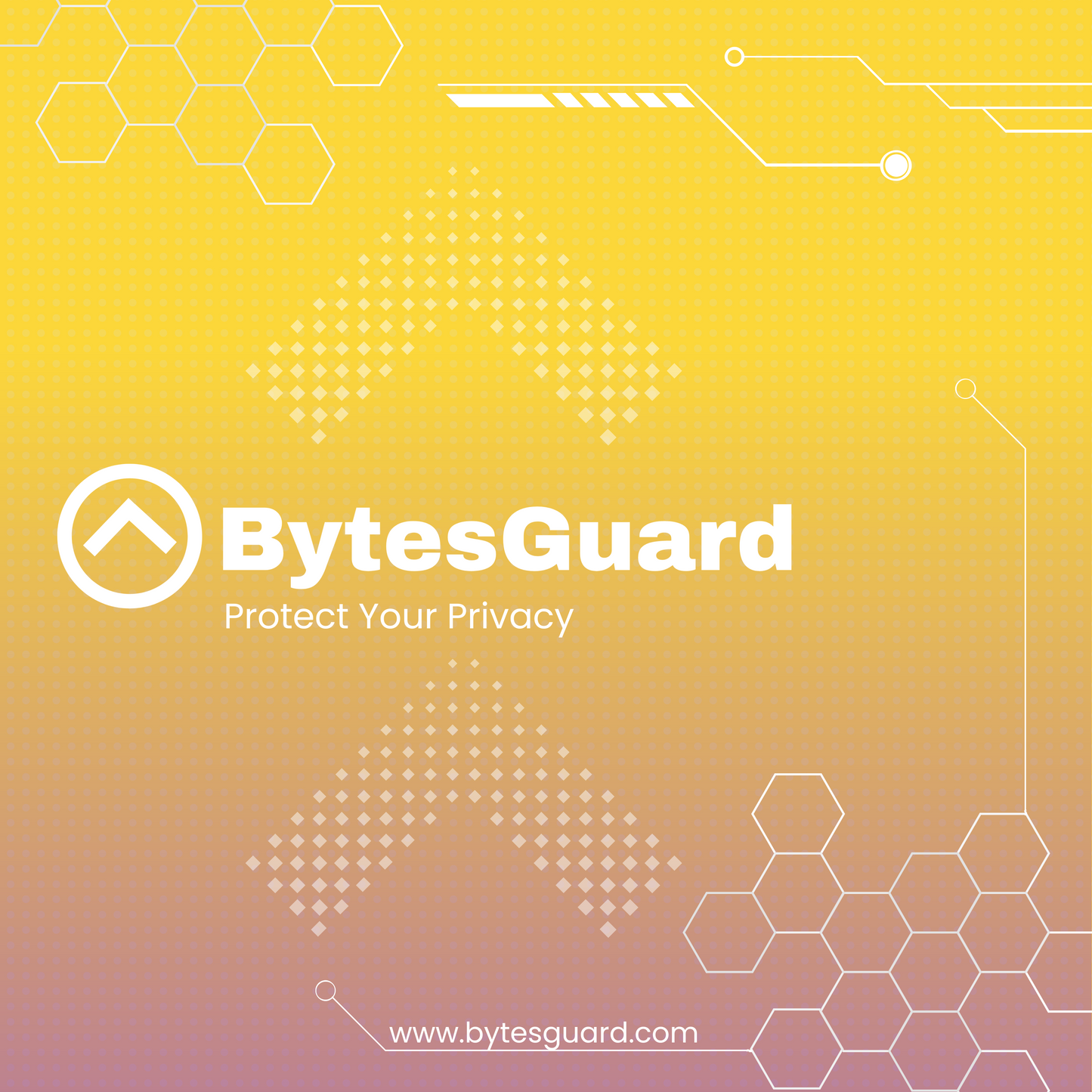 BytesGuard One Time Purchase - 1 PC